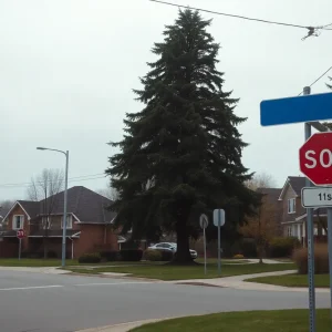 Intersection in Shreveport where a vehicle crash occurred